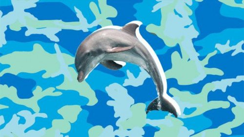 Россия хочет купить 5 дельфинов