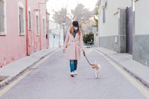 Коронавирус: следует ли мне перестать гладить собаку? И может ли моя кошка выйти на улицу?